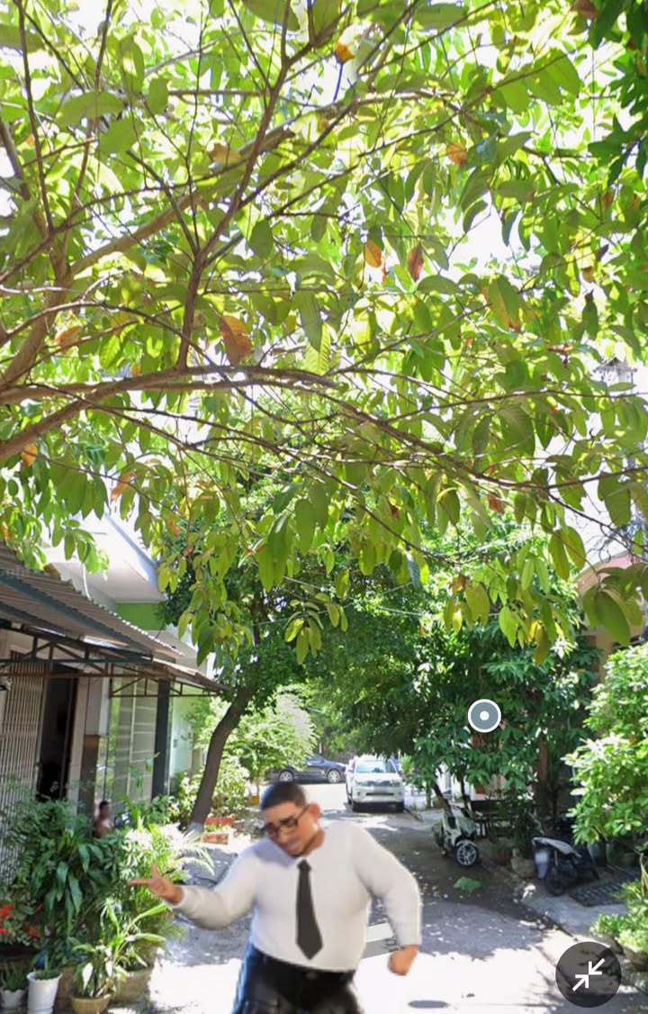 Nhà mặt tiền Quang Trung Quy Nhơn 80,3m² giá 3,xx tỷ - Kinh doanh thuận lợi!