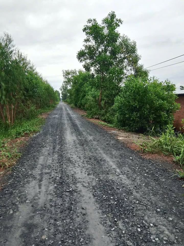 Đất nền 14 công ấp 3, xã Thạnh Tân, Tân Phước, Tiền Giang - Đầu tư sinh lời ngay!