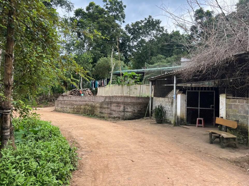 Đất thổ cư 1000m² tại Tân Lập, Lạc Sơn giá chỉ 400 triệu - Cơ hội đầu tư tuyệt vời!