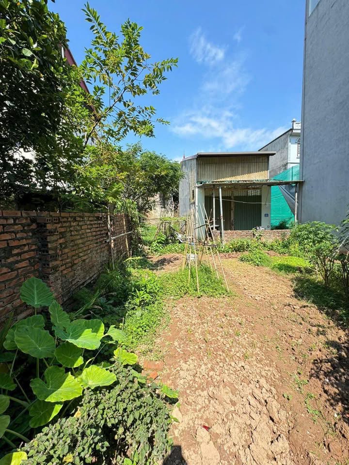 Đất đẹp Phúc Lợi, Long Biên 30m² giá 4.05 tỷ - Mặt tiền rộng rãi, khổ đất vuông vắn!