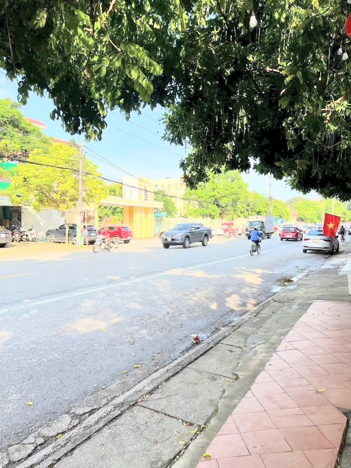 Đất vàng kinh doanh Lê Lai Đông Sơn 115m² giá 0.8 tỷ - Cơ hội đầu tư hấp dẫn!