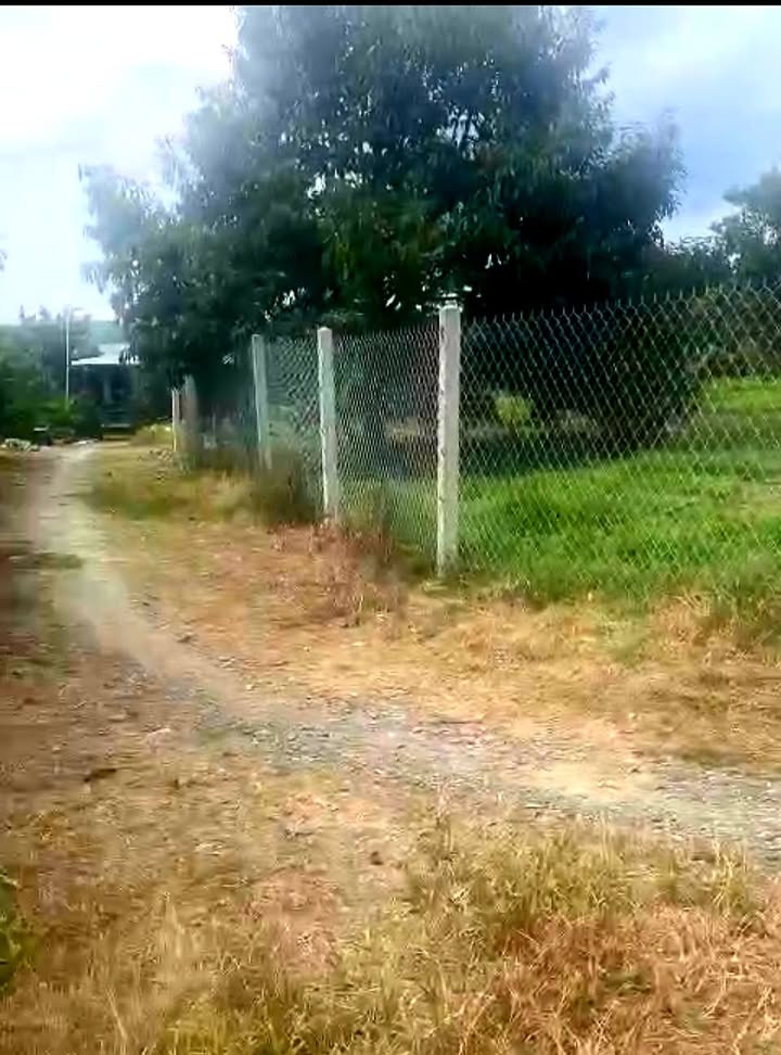 Đất nền Lộc Thành Bảo Lâm 1010m² giá 450 triệu - Đường ô tô vào tận nơi!