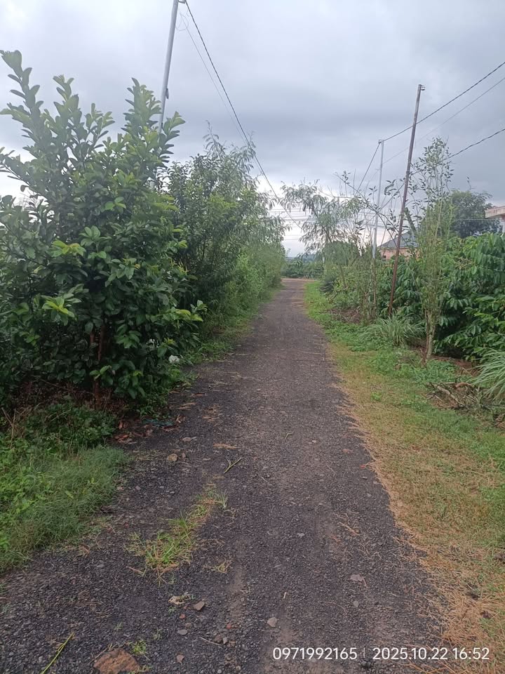 Đất nền Tân Hội Đức Trọng 2214m² giá 2.95 tỷ - Đầu tư sinh lời hấp dẫn!