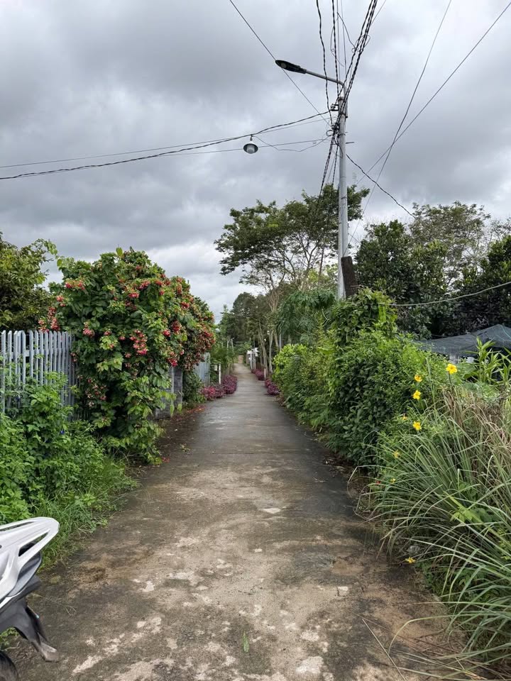 Nhà và đất mặt tiền đường Bê tông xã Tân Phú 300m² giá 1.55 tỷ - Tiện nghi đầy đủ, thương lượng chính chủ!