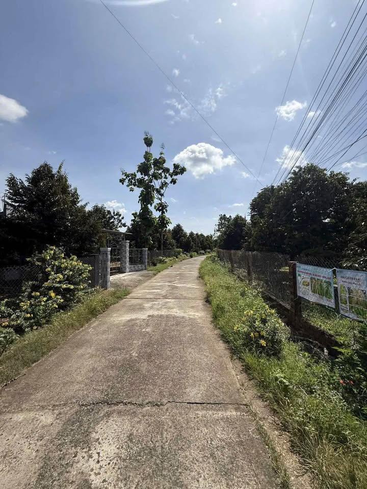 Đất mặt tiền 10000m² tại Định Quán, Đồng Nai - Giá 3 tỷ, thương lượng ngay!