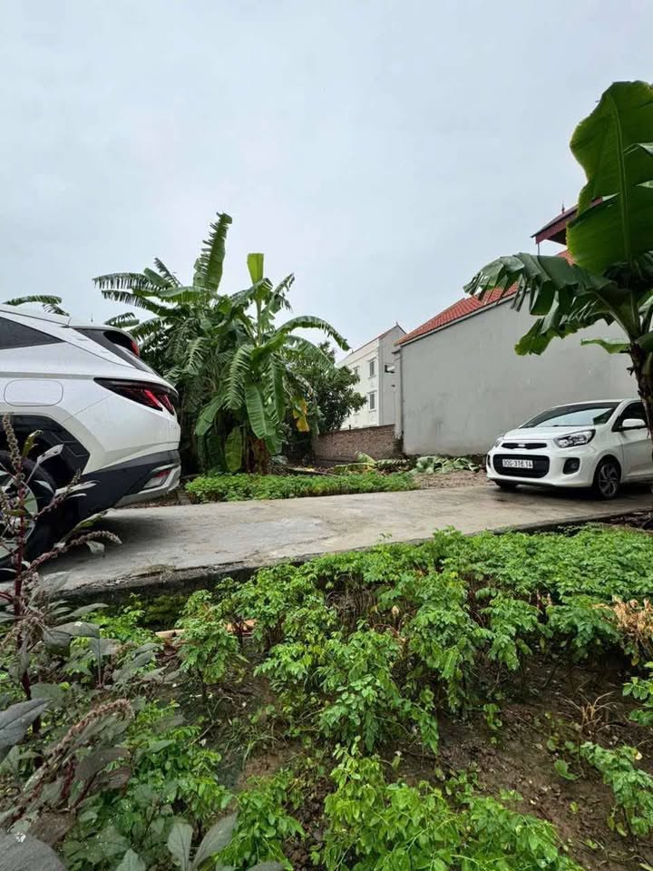 Đất đẹp Thường Tín 63m² giá 3.55 tỷ - Ô tô vào tận nơi!