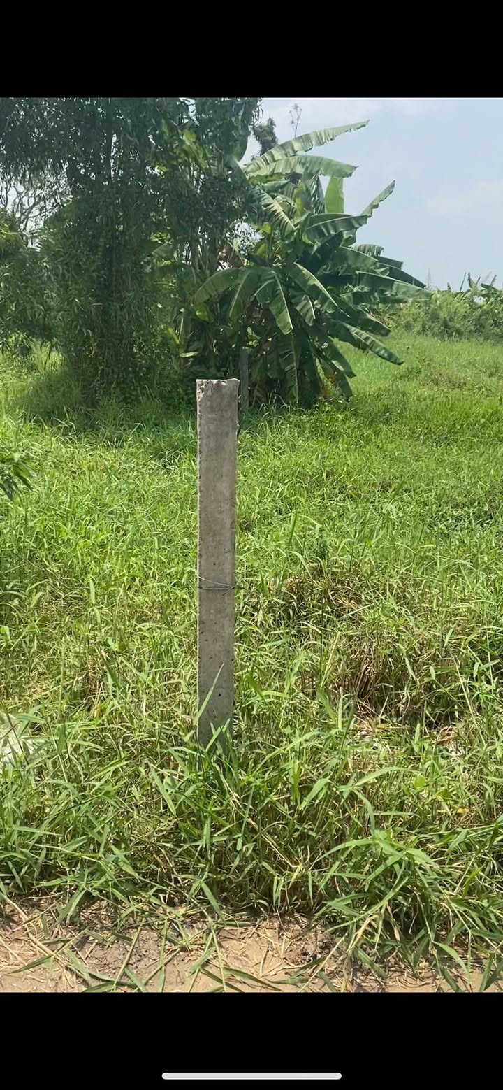 Lô đất 173m² tại Lạc Tấn, Tân Trụ, Long An - Cơ hội đầu tư tuyệt vời!