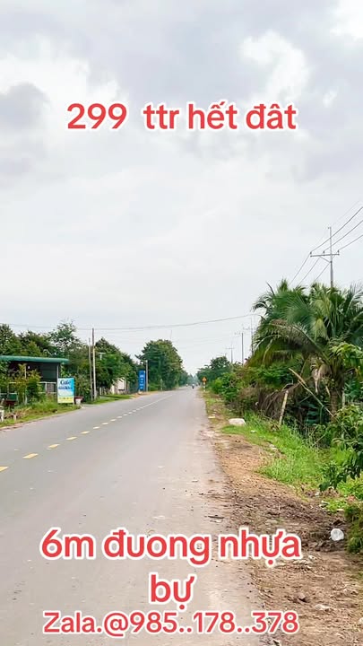 Đất thổ cư 228m² tại Long Thuận, Bến Cầu - Giá chỉ 299 triệu!