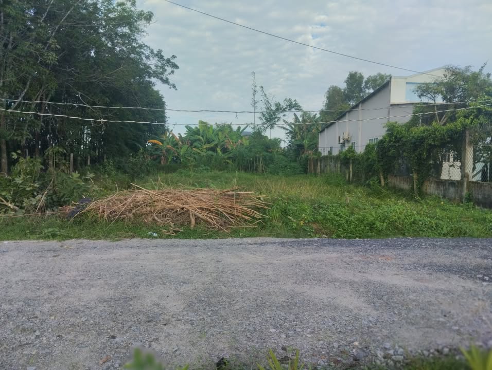 Đất nền Lộc Chánh, Trảng Bàng 200m² giá 1.3 tỷ - Sổ đỏ chính chủ, thương lượng nhẹ!