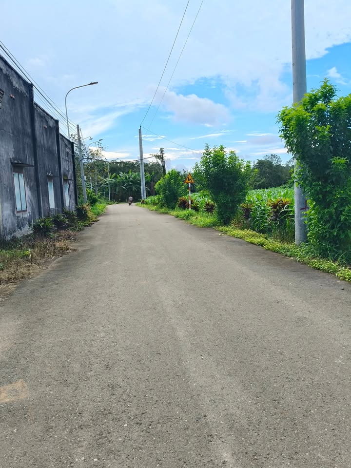 Đất nền Kim Long, Châu Đức 336m² giá chỉ 1 tỷ - Cơ hội đầu tư tuyệt vời!