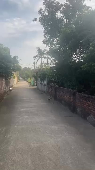 Đất phân lô góc 2 mặt tiền Ngọc Thanh 1011m² - Cơ hội đầu tư hấp dẫn!