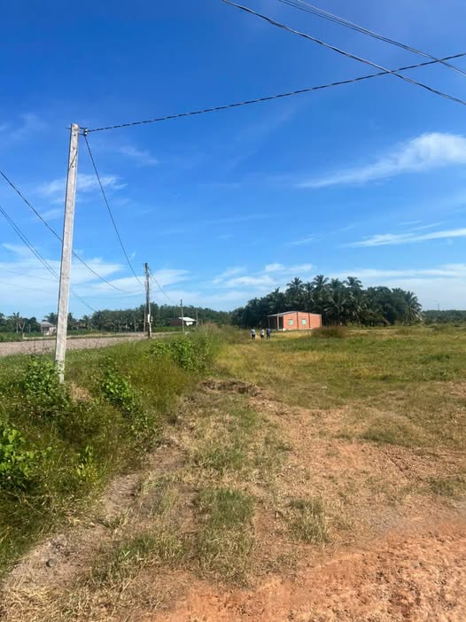 Đất nền góc tam giác 19681m² tại An Cơ, Châu Thành - Giá chỉ 110 triệu!