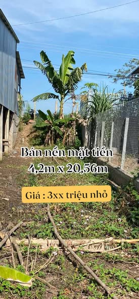 Đất thổ cư mặt tiền đường lớn Phú Lâm 85.6m² giá 320 triệu - Cơ hội đầu tư tuyệt vời!