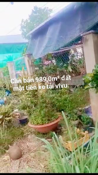 Đất lúa 989m² mặt tiền kênh Phú Lâm chỉ 700 triệu - Cơ hội đầu tư tuyệt vời!