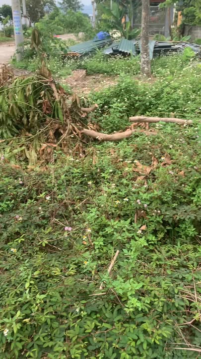 Đất nền Phú Sơn, Nho Quan 1500m² giá thỏa thuận - Tiềm năng đầu tư lớn!