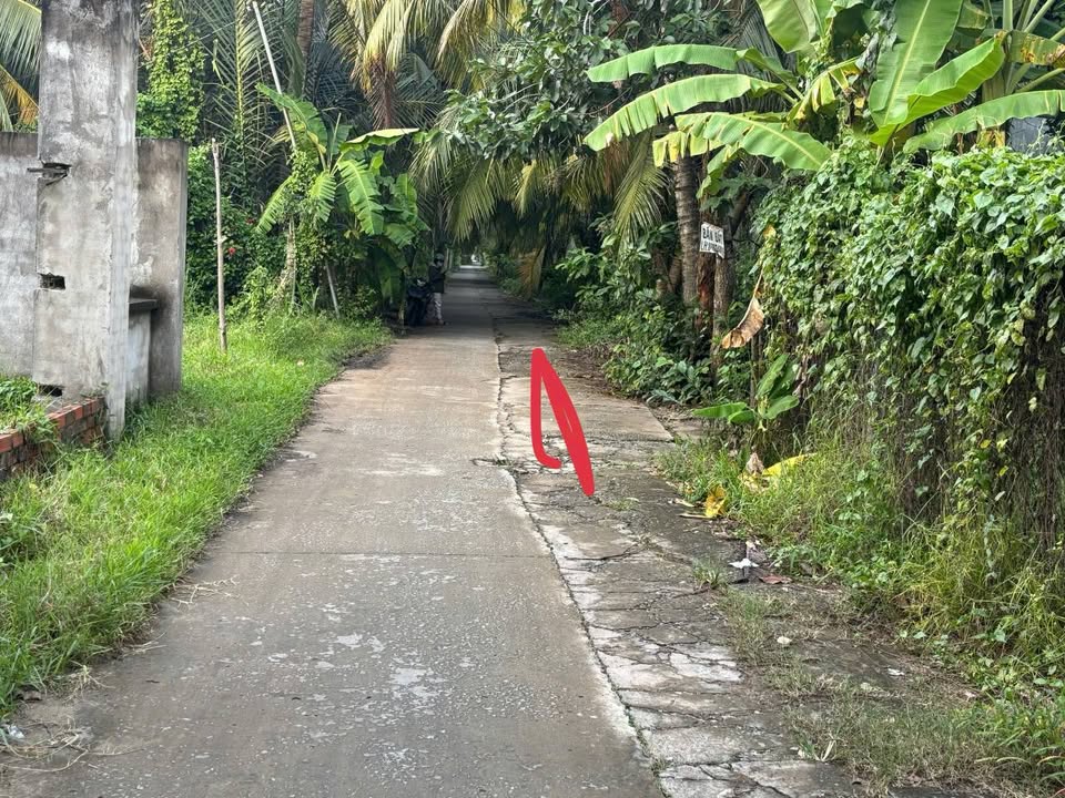 Bán gấp nhà đất Phú Nhuận Bến Tre 210m² giá 1.5 tỷ - Sổ đỏ chính chủ!