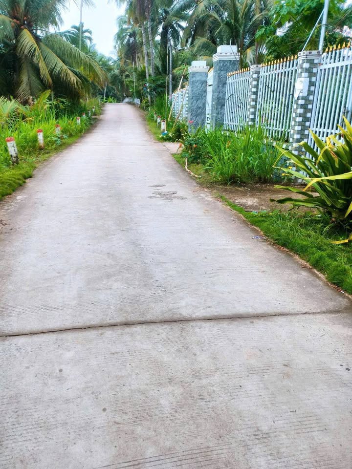 Nhà vườn dừa tại xã Minh Đức, huyện Mỏ Cày Nam 3300m² giá 3.5 tỷ - Đầu tư hấp dẫn!