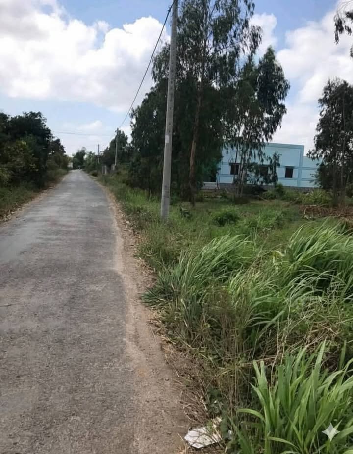 Đất nền Bảo Thạnh, Ba Tri, Bến Tre 300m² giá 700 triệu - Chính chủ bán gấp!