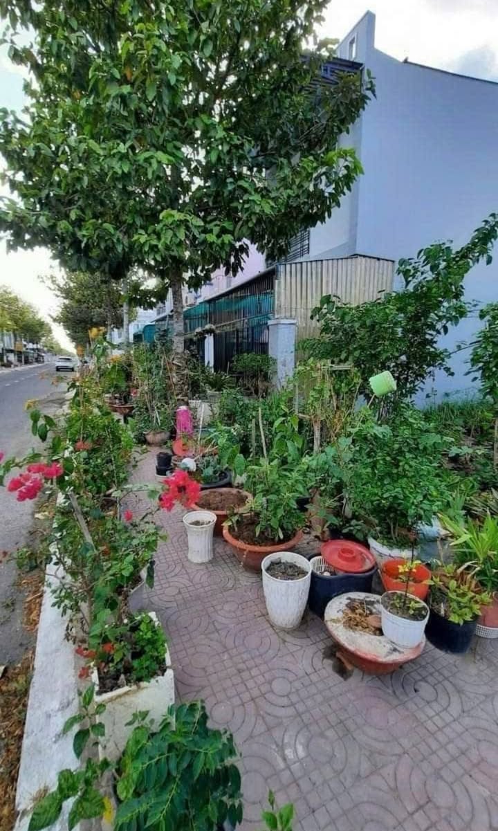 Đất nền KDT 5A, đường Số 8, Sóc Trăng 84m² giá chỉ 1.32 tỷ - Cơ hội đầu tư tuyệt vời!