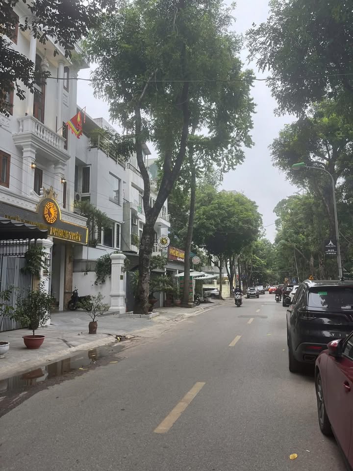 Nhà mặt phố Bùi Xuân Phái, KĐT Mỹ Đình 2, 125m² giá 53 tỷ - Kinh doanh đỉnh cao!