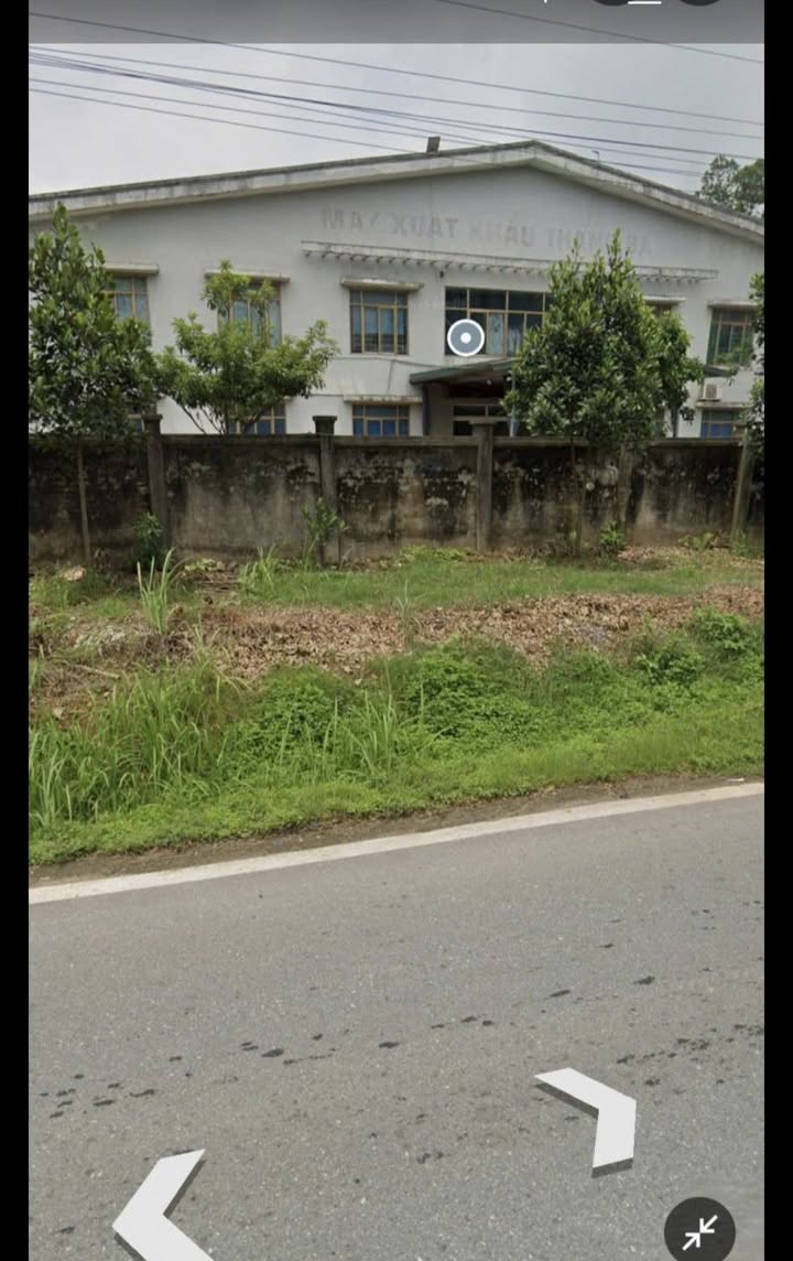 Đất thổ cư 100m² mặt tiền Tỉnh lộ 311, Thanh Ba - Giá chỉ 1 tỷ!