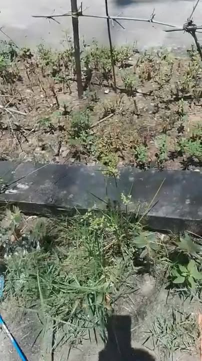 Bán nhà mặt tiền Quốc lộ 61B, 285m², giá 730 triệu - Đầu tư sinh lời ngay!