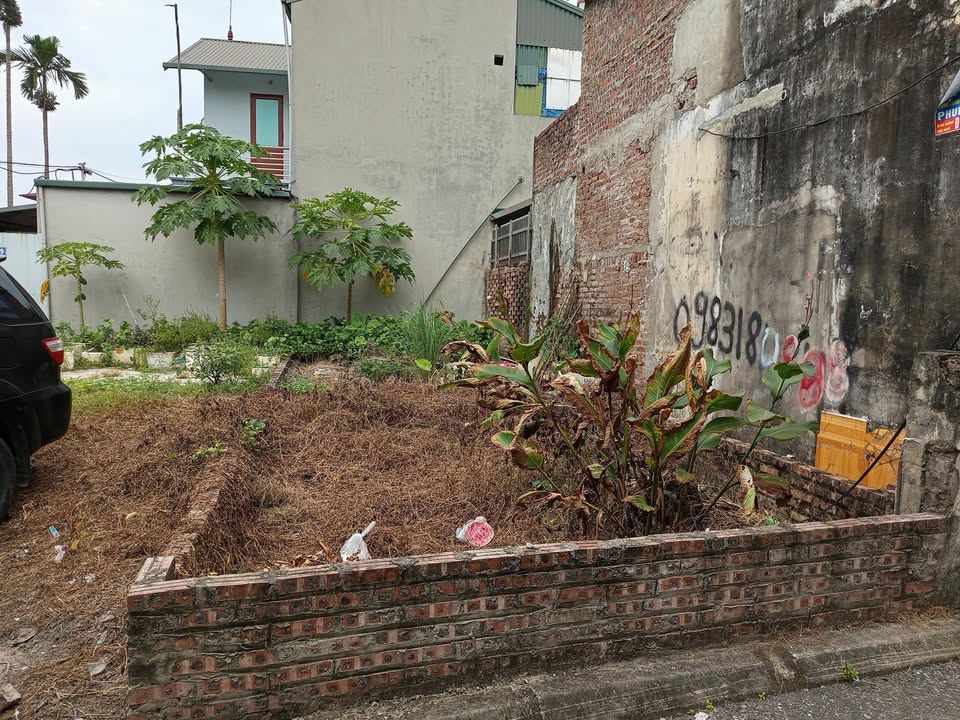 Đất thổ cư Đông Dư Gia Lâm 41m² giá 3 tỷ - Ngõ thông ô tô vào nhà!