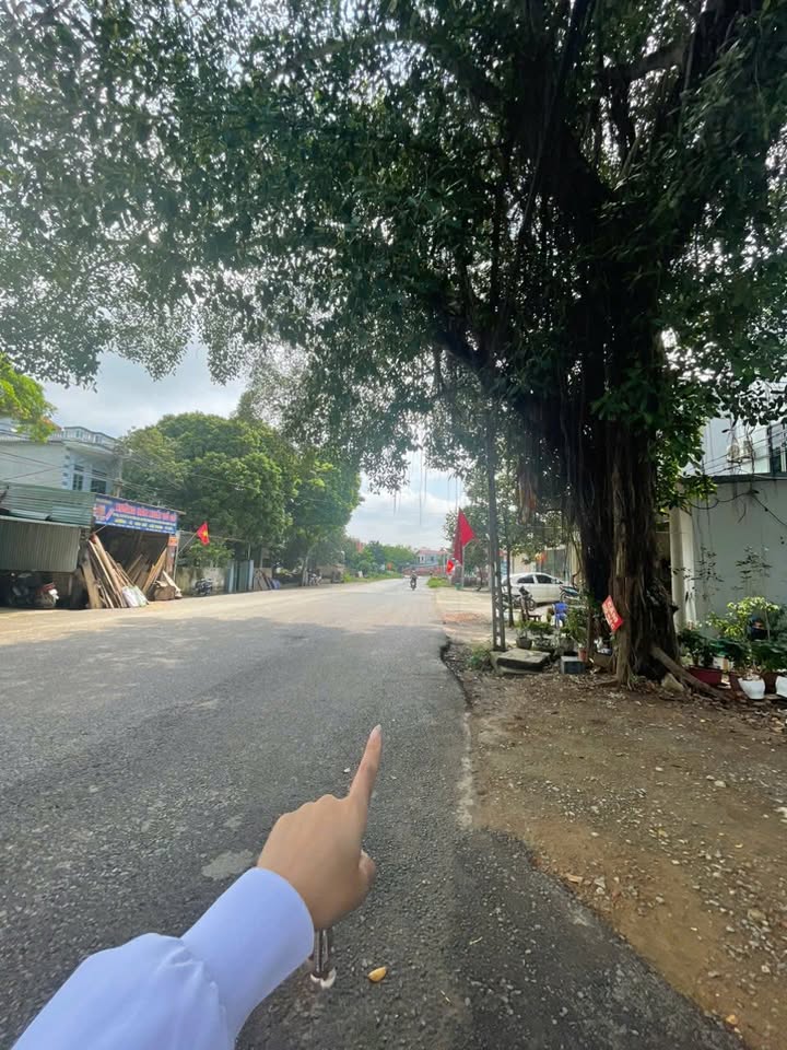 Đất nền Thạch Thất 150m² giá 6x triệu - Kinh doanh sầm uất ngay mặt đường 420!