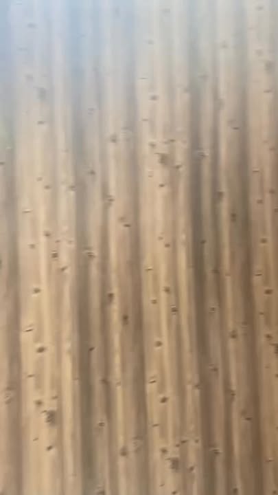 Nhà cho thuê nguyên căn Đống Đa P3 Đà Lạt 2PN giá 8 triệu - View rừng thông mát mẻ