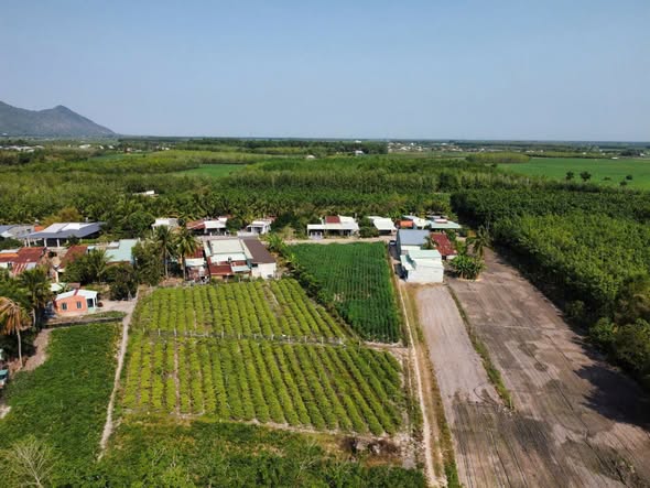 Đất nền Dương Minh Châu 1724m² giá 1.7 tỷ - View Núi Bà thoáng mát!