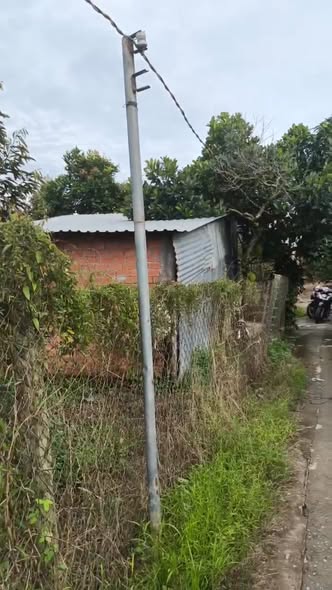 Đất vườn 1241m² tại Thiện Trí, Cái Bè chỉ 870 triệu - Cần bán gấp!