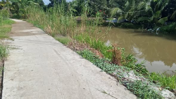 Farm 11.5 công ở An Thái Trung, Cái Bè giá 5.175 tỷ - Cơ hội đầu tư tuyệt vời!