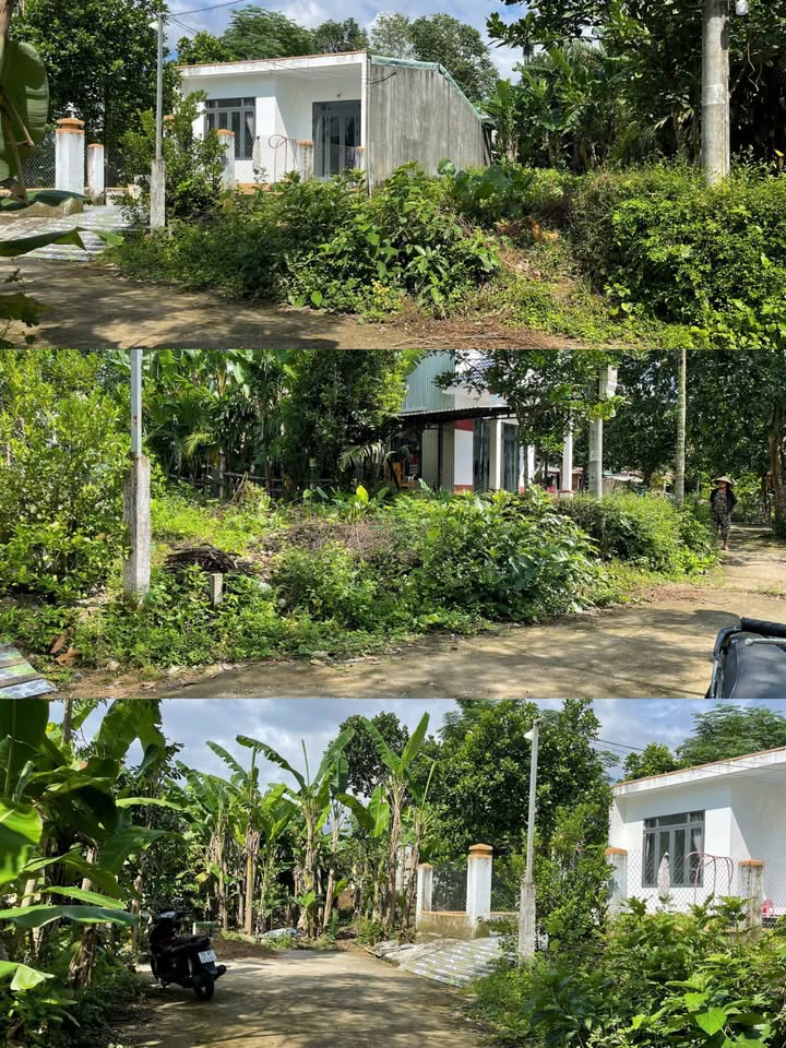 Đất nền Thôn Phước Hưng, Hòa Nhơn 188m² giá 1.1 tỷ - Cơ hội đầu tư hiếm có!