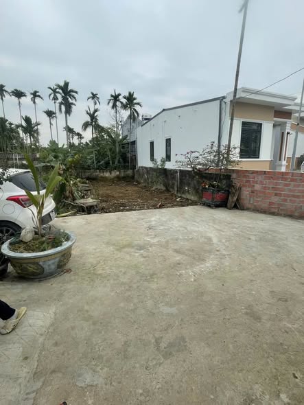 Đất nền 61m² tại TDP Trại Dưới, P. Lưu Kiếm - Chỉ 700 triệu!