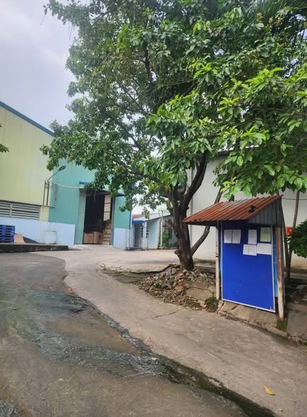 Bán gấp nhà xưởng 1.200m² tại Tân Đông Hiệp, Dĩ An - Giá chỉ 75 tỷ!
