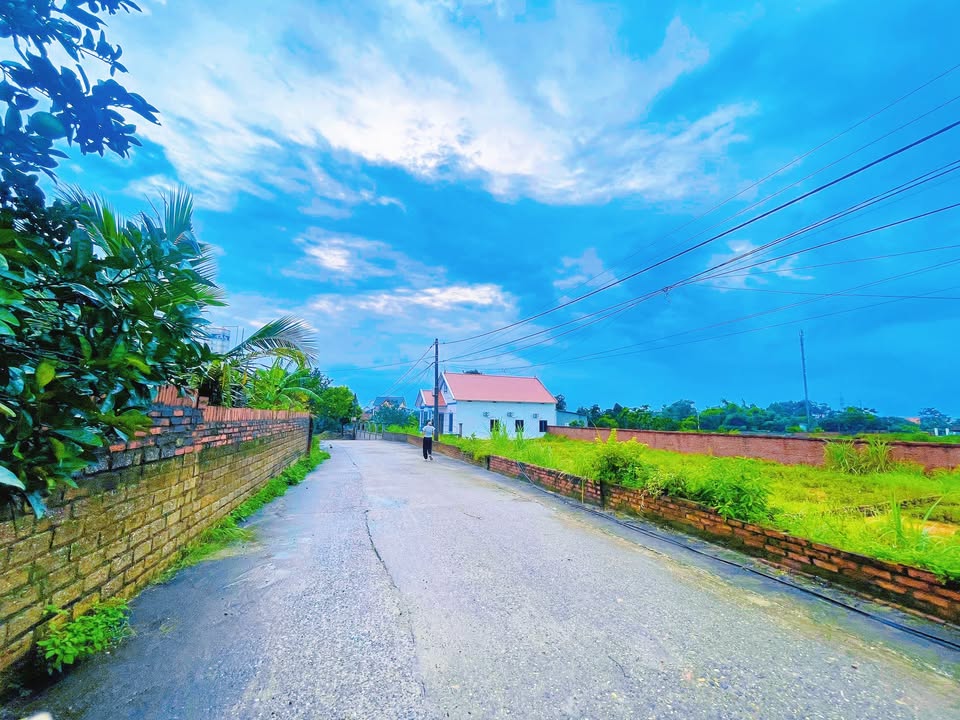 Đất nền lô góc 107m² tại Danh Thắng, Hiệp Hòa - Giá chỉ 1 tỷ siêu hợp lý!