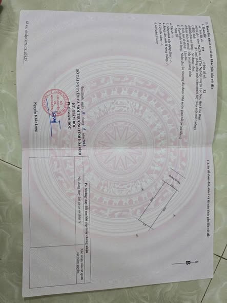 Đất nền tại Xóm Mai Sơn, Yên Nghiệp, Lạc Sơn - 117m² chỉ 299 triệu - Đầu tư sinh lời ngay!