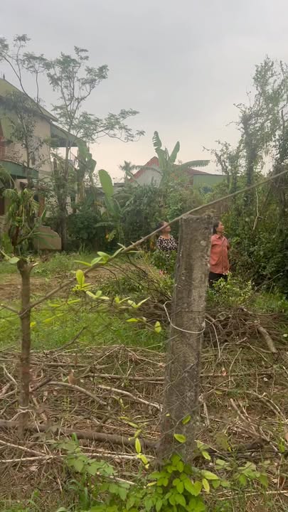 Đất mặt đường Long Xá 130m² giá 1.6 tỷ - Kinh doanh đa ngành nghề