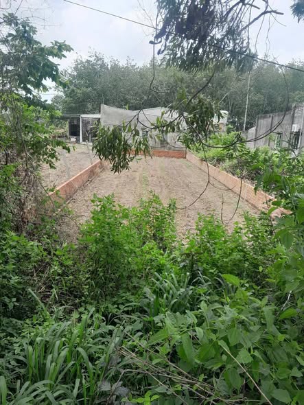 Đất nền An Tịnh Trảng Bàng 127m² giá 1.15 tỷ - Đầu tư sinh lời ngay!