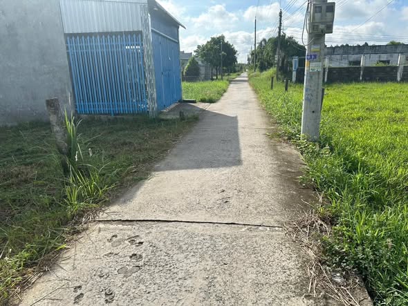 Đất thổ cư An Vĩnh Ngãi Tân An 258m² giá 1.5 tỷ - Đường xe 7 chỗ vào tận đất!