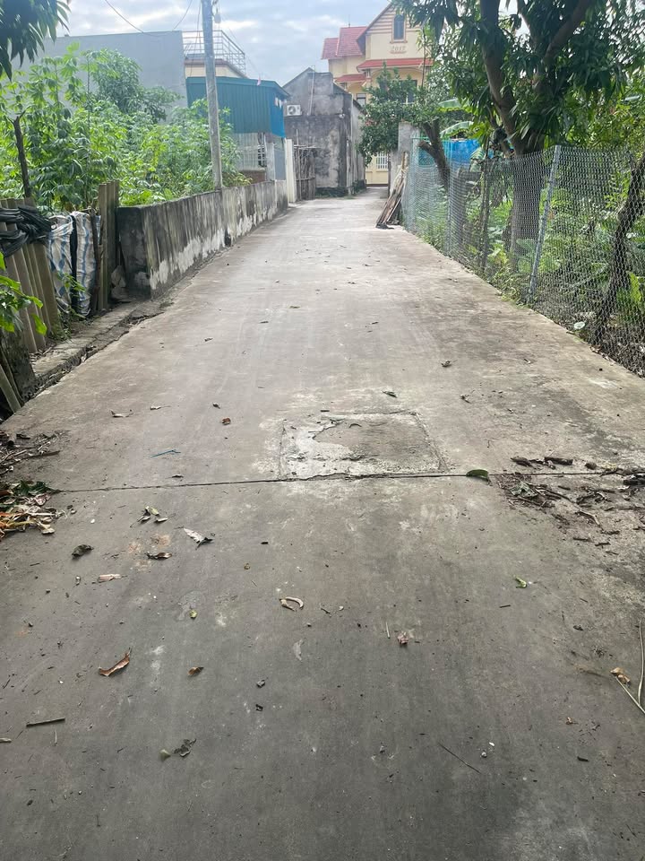 Đất nền Hồng Vân Thường Tín 87,3m² - Chính chủ bán, vị trí đắc địa!