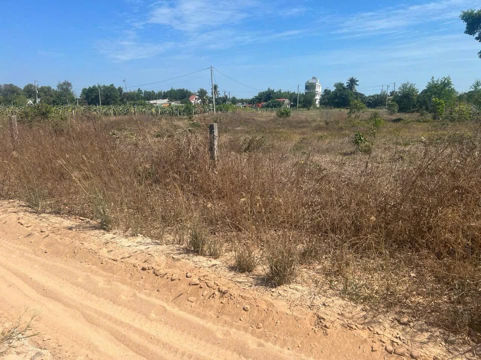 Đất nền Tân Bình, La Gi 220m² giá chỉ 900 triệu - Đầu tư sinh lời ngay!