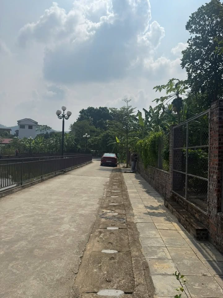 Đất nền Thanh Sơn 538m² giá 1,2 tỷ - Vị trí đắc địa gần tiện ích!