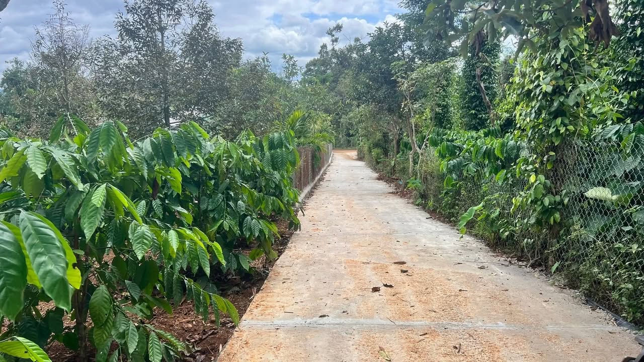 Đất nền đường Cựu Chiến Binh, Đức Mạnh, 300m² giá 700 triệu - Cơ hội đầu tư hấp dẫn!