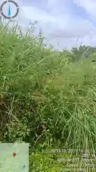 Đất nền 1ha tại xã Ea Nam, huyện Ea H'Leo chỉ 1 tỷ - Cơ hội đầu tư sinh lời!