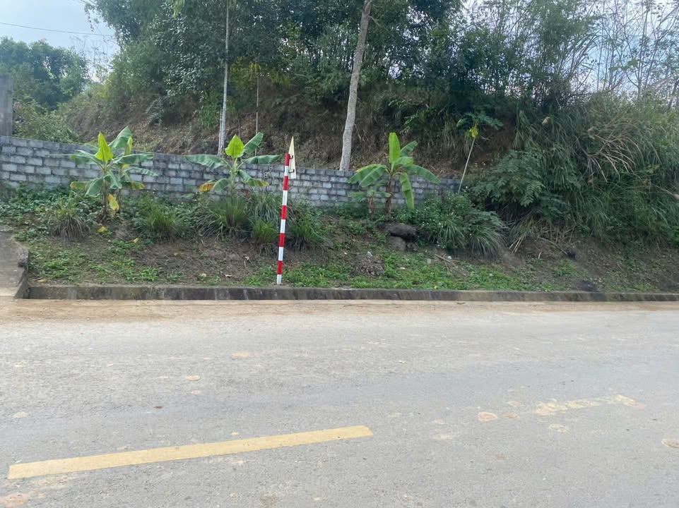 Đất nền QL45 Xuân Khang 200m² chỉ 3xx triệu - Cơ hội đầu tư tuyệt vời!