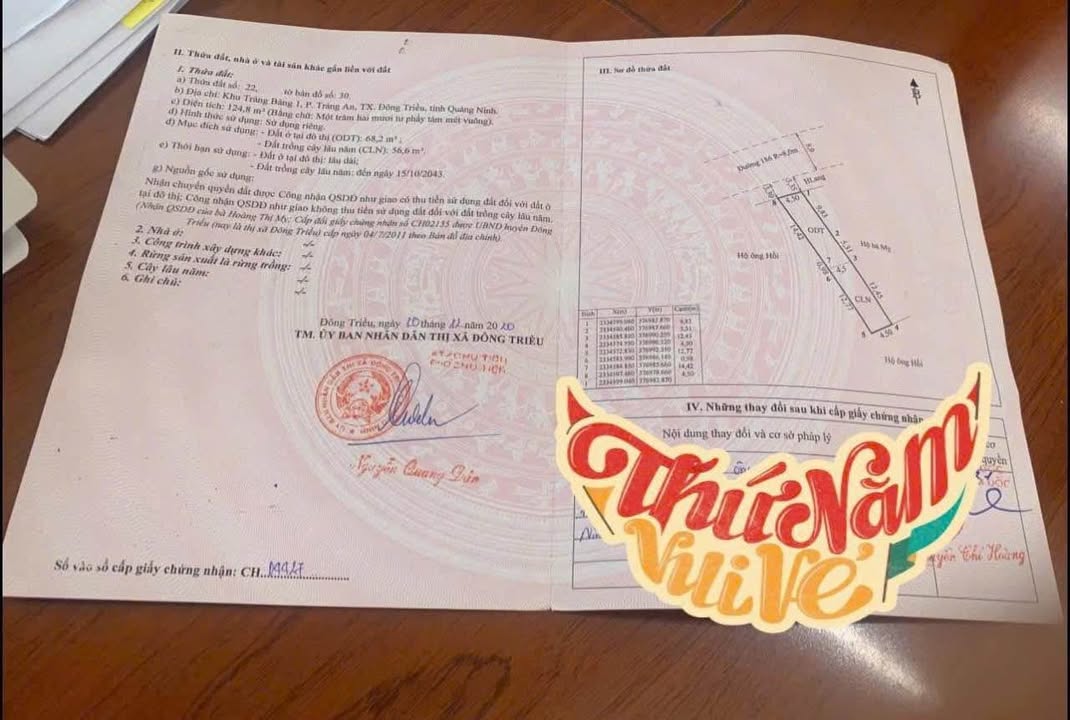 Đất nền Tràng Bảng 2 - Tràng An 124m² giá chỉ 1.5 tỷ - Cơ hội đầu tư hấp dẫn!