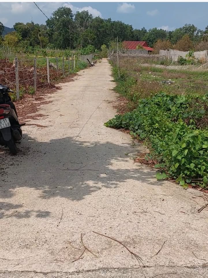 Đất nền Cửa Cạn Phú Quốc 500m² giá 2 tỷ - Cơ hội đầu tư tuyệt vời!