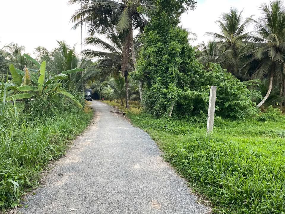 Đất mặt tiền đường nhựa xã Song Lộc, Trà Vinh 723m² giá chỉ 400 triệu - Cơ hội đầu tư tuyệt vời!