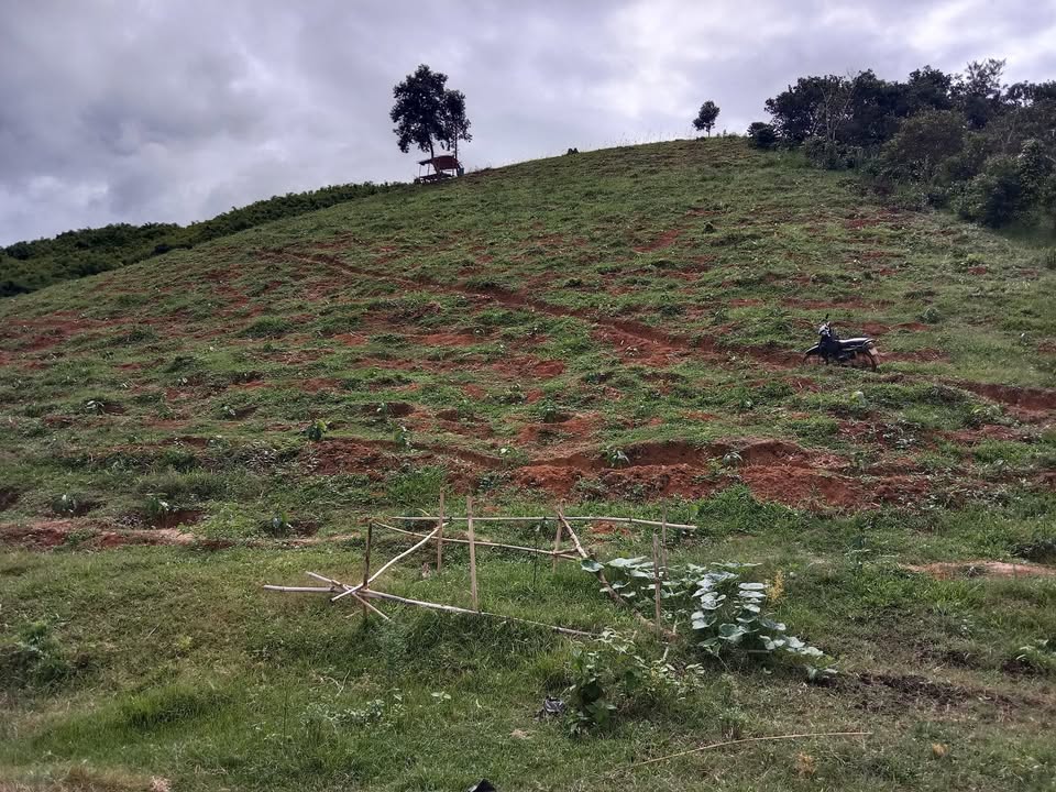 Đất Farm 2ha tại Nam Ka, Lắk giá 1.4 tỷ - Cơ hội đầu tư hấp dẫn!